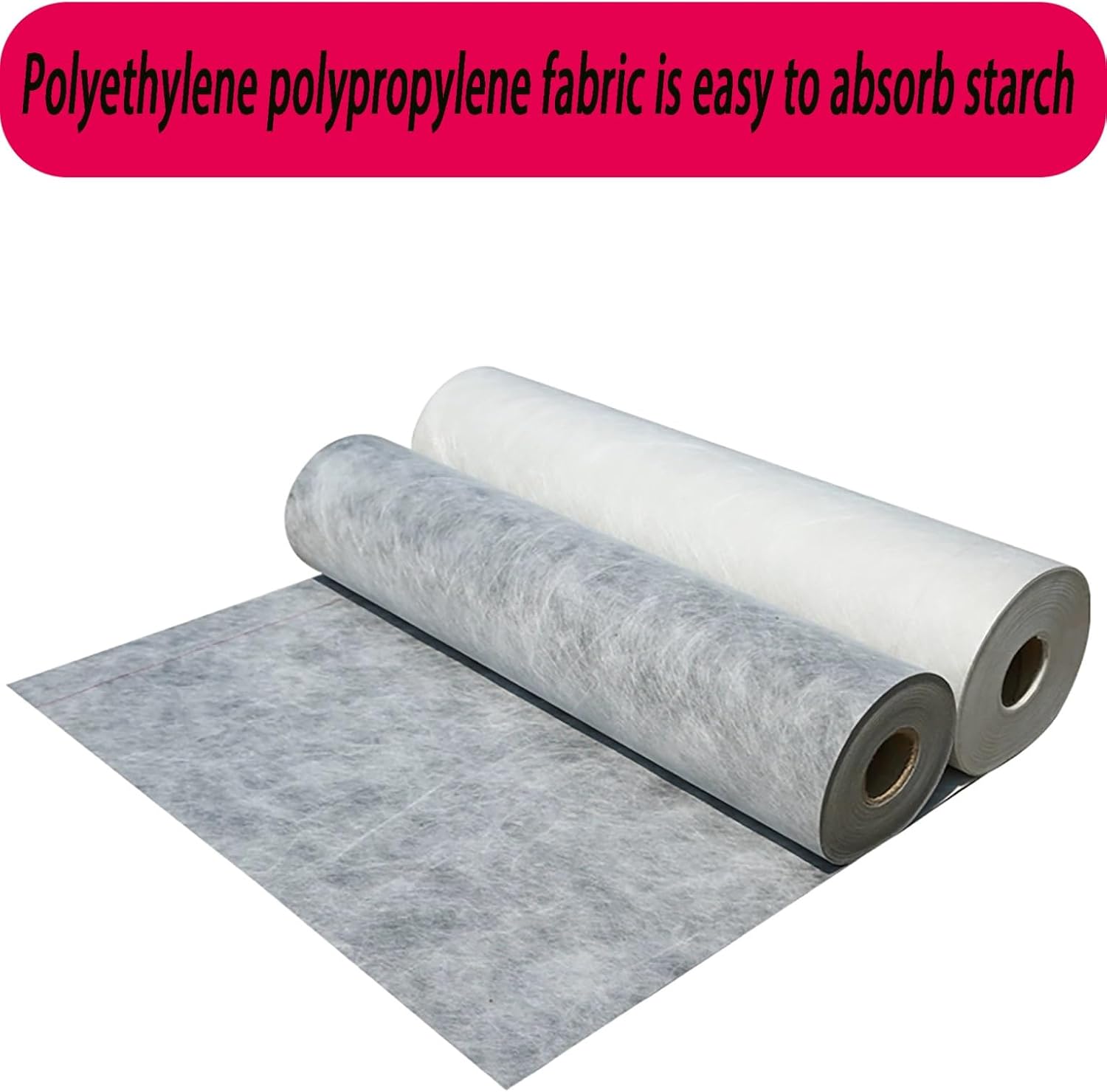 最大級！イボイノシシの頭骨 お買い得】種名イノシシ ♂ 25Kg 頭骨